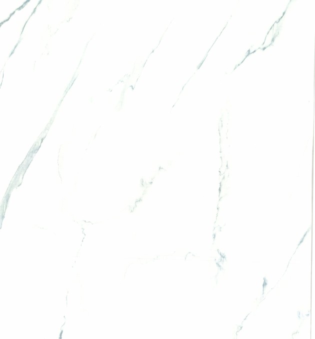 8018  SATVARIO